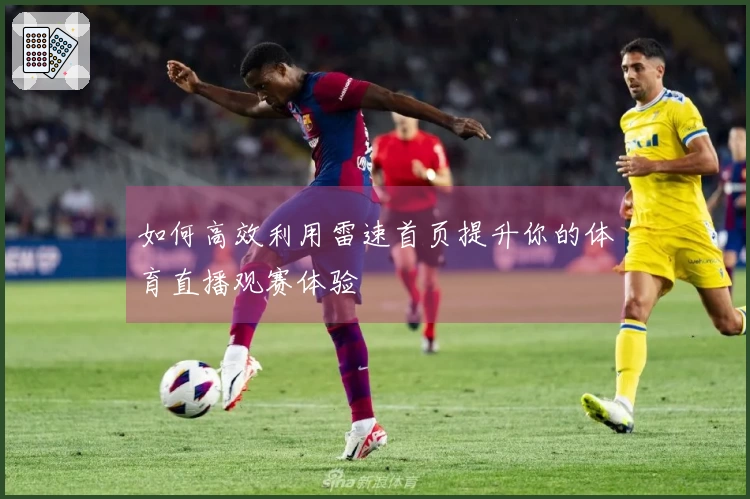 如何高效利用雷速首页提升你的体育直播观赛体验